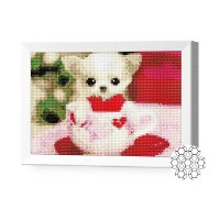 Pictura cu diamante după numere Art Gallery Premium Chihuahua 20x30cm (JS20454)