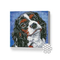 Pictura cu diamante după numere Art Gallery Premium Cute spaniel 20x20cm (BJ1157)