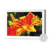 Pictura cu diamante după numere Art Gallery Premium Fire Lily 20x30cm (JS20009)