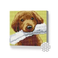 Алмазная картина по номерам Art Gallery Premium Good dog 20x20cm (BJ736)