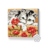 Алмазная картина по номерам Art Gallery Premium Kitten and poppies 20x20cm (BJ806)