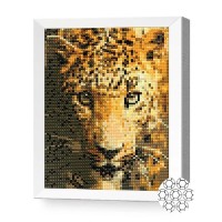 Pictura cu diamante după numere Art Gallery Premium Leopard 20x30cm (JS20603)