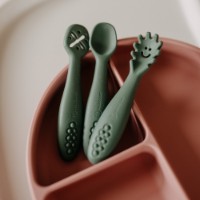 Набор силиконовых тренировочных ложек Petite&Mars Take&Match Misty Green 6+m 3pcs (721817) фото №4 — интернет-магазин Desire.md