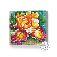 Алмазная картина по номерам Art Gallery Premium Luxurious iris 20x20cm (BJ976)