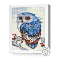 Pictura cu diamante după numere Art Gallery Premium Owl On A Branch 20x30cm (JS20360)