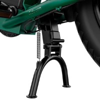 Bicicletă electrică Fiido T2 Green imaginea #2 — magazin online Desire.md