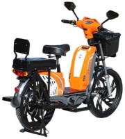 Bicicletă electrică TTG EB-003 imaginea #5 — magazin online Desire.md