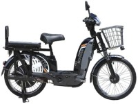 Bicicletă electrică TTG EB-005 imaginea #2 — magazin online Desire.md