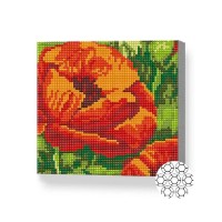 Pictura cu diamante după numere Art Gallery Premium Poppy 20x20cm (BJ1024)