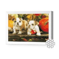 Pictura cu diamante după numere Art Gallery Premium Puppies And Pumpkins 20x30cm (JS20289)