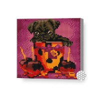 Pictura cu diamante după numere Art Gallery Premium Puppy in a cup 20x20cm (BJ1178)
