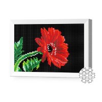 Pictura cu diamante după numere Art Gallery Premium Red Flower 20x30cm (JS20046)