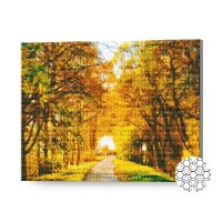 Pictura cu diamante după numere Art Gallery Premium Road Through The Trees 40x50cm (GA75061)
