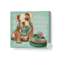 Pictura cu diamante după numere Art Gallery Premium Tailed Slytherin student 20x20cm (BJ1180)