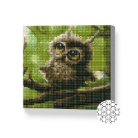 Pictura cu diamante după numere Art Gallery Premium Tired owl 20x20cm (BJ1133)
