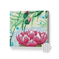 Pictura cu diamante după numere Art Gallery Premium Water Lily In The Lake 20x20cm (BJ963)