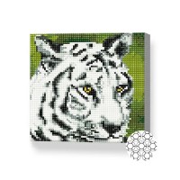 Pictura cu diamante după numere Art Gallery Premium White Tiger 20x20cm (BJ841)