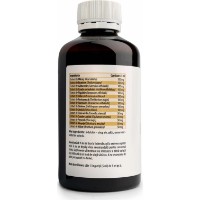 Сироп Herbal Therapy Imuno Detox 200ml фото №2 — интернет-магазин Desire.md