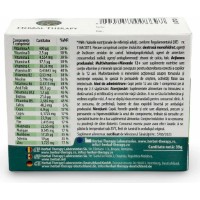 Vitamine Herbal Therapy Multivitamine + Minerale 12+ 30tab imaginea #2 — magazin online Desire.md
