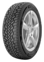 Шина Starmaxx PolarMaxx 195/55 R16 87H