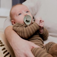 Suzeta BIBS Ivory/Sand/Vanilla/Dark Oak 6-18m 4pcs (120460) imaginea #2 — magazin online Desire.md