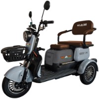 Scooter electric Weter 1000IN