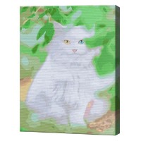 Картина по номерам Art Gallery Econom Белый кот 30x40cm (EX7939)