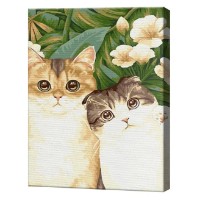 Картина по номерам Art Gallery Econom Большеглазые котики 30x40cm (EX8208)