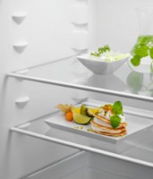 Встраиваемый холодильник Electrolux ERD6DE18S1 фото №2 — интернет-магазин Desire.md