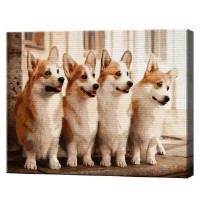 Tablou pe numere Art Gallery Econom Corgi drăguți 40x50cm (GX41467)