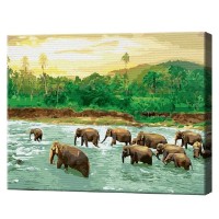 Tablou pe numere Art Gallery Econom Elefanți în junglă 40x50cm (GX41791)