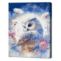 Tablou pe numere Art Gallery Econom Bufnița geroasă 30x40cm (EX8199)