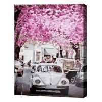 Tablou pe numere Art Gallery Econom Pomi înfloriți și mașină albă 40x50cm (GX31972) imaginea #2 — magazin online Desire.md