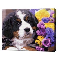 Tablou pe numere Art Gallery Econom Cățeluș și flori 40x50cm (GX43075)