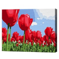 Картина по номерам Art Gallery Premium Алые тюльпаны 20x30см (CX3845)