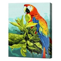 Картина по номерам Art Gallery Premium Ара на веточке 30x40cm (EX7509)