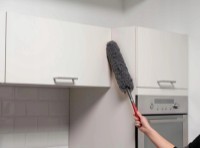 Perie pentru perete și tavan Dirt Devil DDDUSSH imaginea #2 — magazin online Desire.md