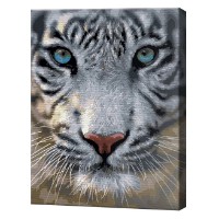 Tablou pe numere Art Gallery Premium Tigru cu ochi albaștri 40x50cm (GX42931)
