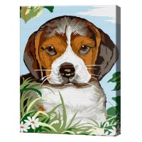 Tablou pe numere Art Gallery Premium Грустный щенок 20x30см (CX3728)