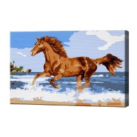 Tablou pe numere Art Gallery Premium Un cal pe malul mării 20x30cm (CX4301)