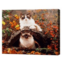 Tablou pe numere Art Gallery Premium Motanii la o plimbare de toamnă 40x50cm (GX34045)