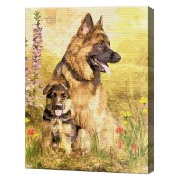 Tablou pe numere Art Gallery Premium Ciobănești germani 40x50cm (GX38991)