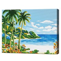 Tablou pe numere Art Gallery Premium Необитаемый уголок 20x30см (CX3811)