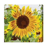 Tablou pe numere Art Gallery Premium Подсолнух 20x20см (BX2325)