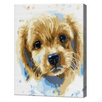 Tablou pe numere Art Gallery Premium Portretul cățelușului 20x30cm (CX4944)