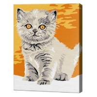 Tablou pe numere Art Gallery Premium Серый котенок 20x30см (CX3484)