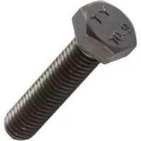 Bulon Reyher 097A10060