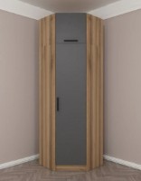 Dulap Trendy Kale 2303 Oak/Anthracit 74x235x52cm GTR004787