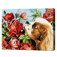 Tablou pe numere Art Gallery Premium Собачка нюхает розы 20x30см (CX3608)