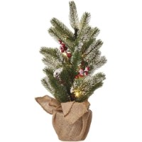 Хвойные украшения Emos DCTW04